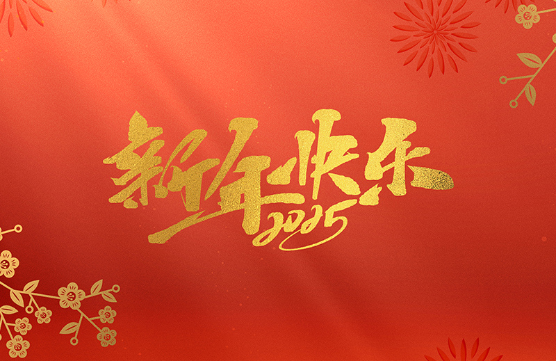 浙江中德自控科技股份有限公司祝大家2025新年快樂(lè)！